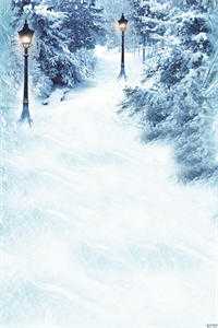 雪落情长：冬恋的坚守