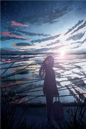 星光下的守护
