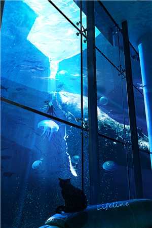 错把真情付海棠