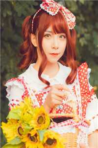 官婿美人香