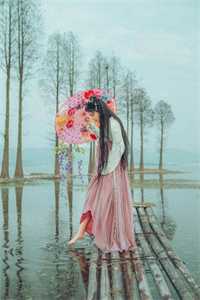 春色已去落花雨