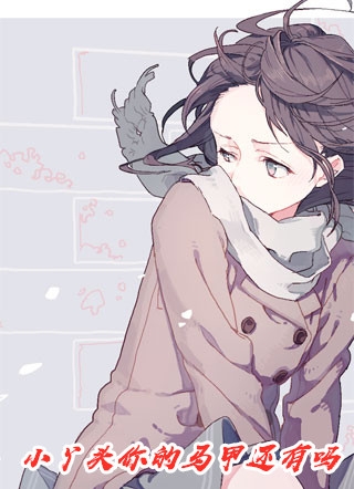 宋朝奇案之帽妖案