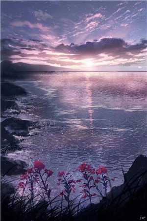 盛夏不再宁静
