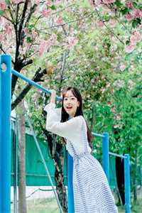 系统无敌？我靠智慧轻松碾压