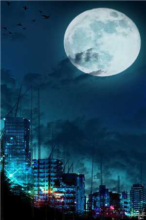 完美谋杀雨夜命案张明远林队新热门小说_完结免费小说完美谋杀雨夜命案张明远林队