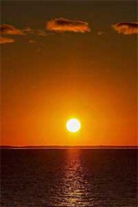夕月不知向南意薛琛温珮全文免费阅读_在线免费小说夕月不知向南意(薛琛温珮)