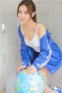 山与山鸟不同归