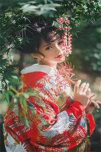 梨花落晏招漼妩完整版小说全文免费阅读_完结的小说梨花落(晏招漼妩)