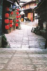 山与山鸟不同归