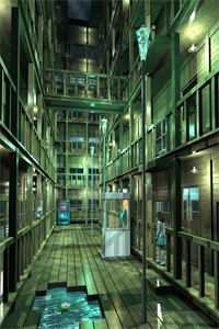 岁月长青