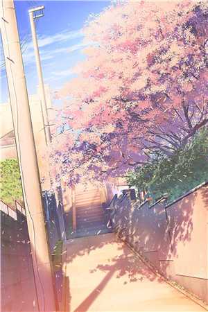 飞鸟不归林，落花无相逐