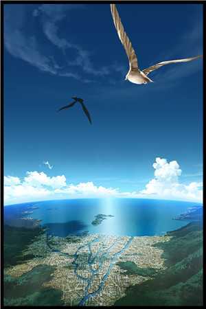 流年落尽空白首