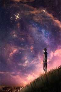 玫瑰落星辰