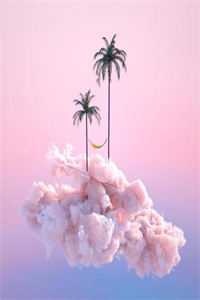 爱恨相抵，眠星枕霜花