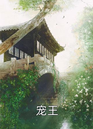情深伤重，流年匆匆(宋野董小娜)完本完结小说_全本免费小说阅读情深伤重，流年匆匆(宋野董小娜)