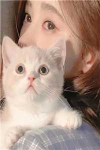 偏爱白莲？我闪婚后他急了