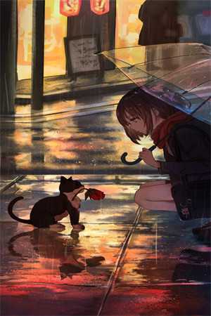 明月有光人有情