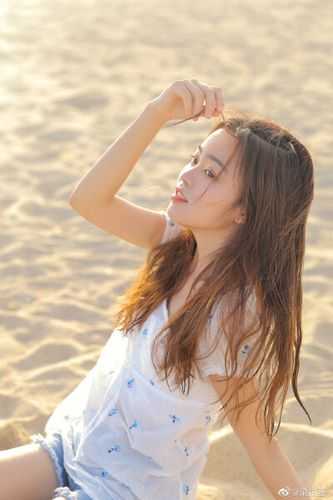 婆婆抢了我的包后，我杀疯全家(苏婴李烨)免费热门小说_完整版小说婆婆抢了我的包后，我杀疯全家(苏婴李烨)