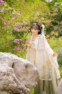 重生后我选择成全白莲花