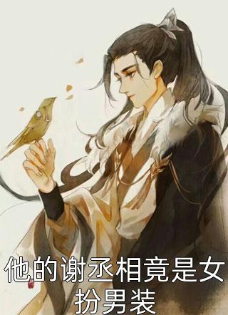 爱随风起，情意难平慕泽川贺南星完本完结小说_在哪看免费小说爱随风起，情意难平慕泽川贺南星