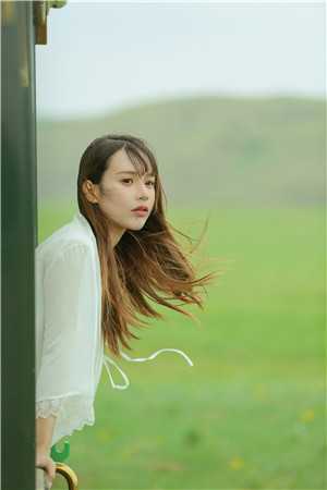 梅子熟时栀子香