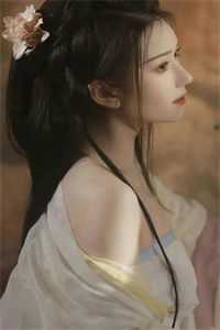 鸢尾的破晓
