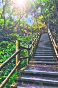 风住尘香花已尽(顾云湘邵齐渊)热门小说大全_免费小说完整版风住尘香花已尽(顾云湘邵齐渊)