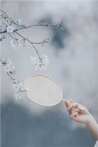 听雪归来：重生盟主之女的逆袭
