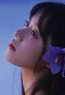 长安花劫