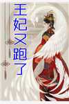 喜娘(沈念周芸)最新完结小说_完结版小说全文免费阅读喜娘(沈念周芸)