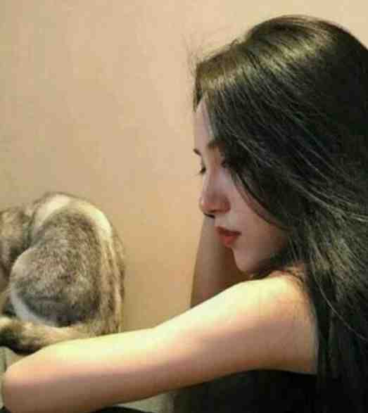 契约婚妻：总裁大人很腹黑