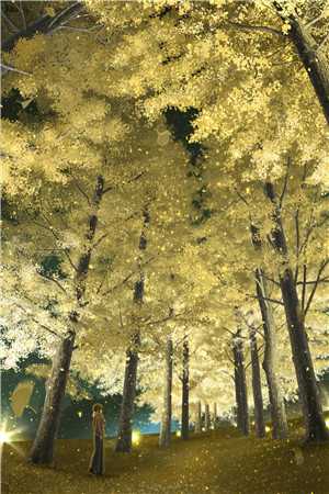二嫁权贵，我成京城团宠