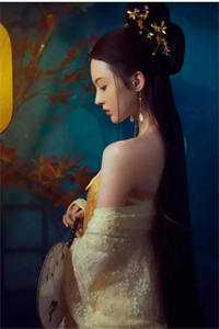 狐君娶妻，万妖送嫁