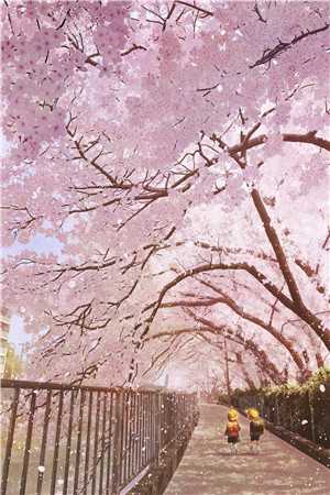 人面桃花长相忆