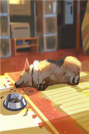 他在永夜长眠