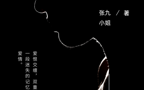 迟暮为眷小说叫什么（迟暮为眷免费阅读）