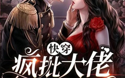 《快穿：疯批大佬暗恋我》封雪袭玄辞小说【已完结】