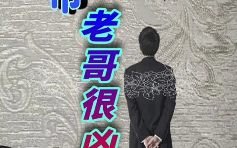 小说整本免费都市老哥很凶猛