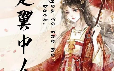 江漓韩翼泽《总是翼中人》_《总是翼中人》整本免费阅读