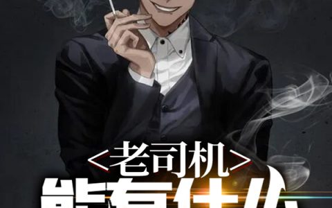 老司机能有什么坏心思？全文免费在线阅读