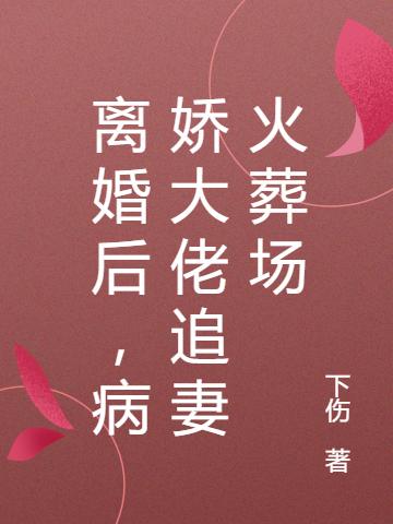 离婚后,病娇大佬追妻火葬场