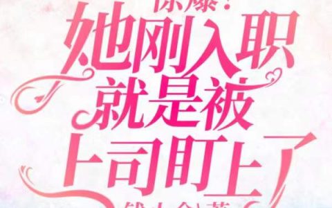 惊爆！她刚入职就是被上司盯上了小说免费阅读
