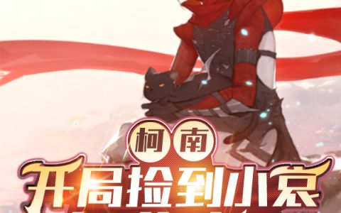 柯南：开局捡到小哀怎么办？完整版免费阅读季松寒秋水映尘
