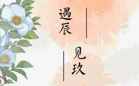 《遇辰见玖》全文免费阅读在哪里看？