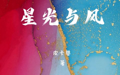 小说最新章节《星光与风》