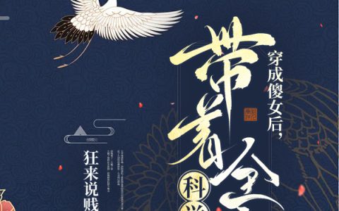 穿成傻女后，带着全家科举致富小说全文在线阅读