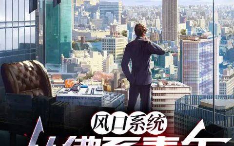 《风口系统：从佛系青年到世界首富》小说全文在线阅读