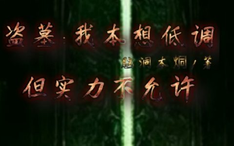 《盗墓：我本想低调，但实力不允许》小说全文在线阅读