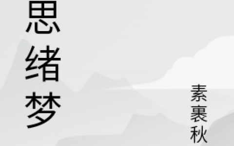 秦流绪楚微梦的小说（微思绪梦小说大结局）