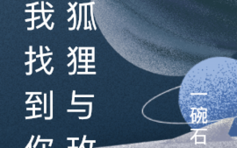《等我找到你：狐狸与玫瑰》戚玖陆淮之全文免费阅读